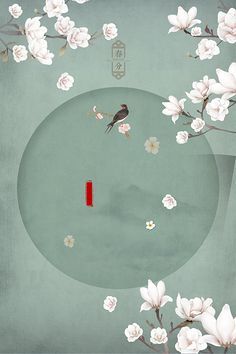 蘑菇网91